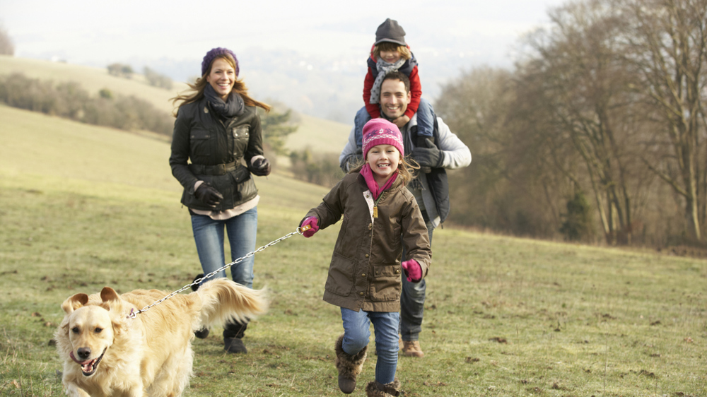 Dog Friendly Walks The Borders Dog Friendly Walks The Borders