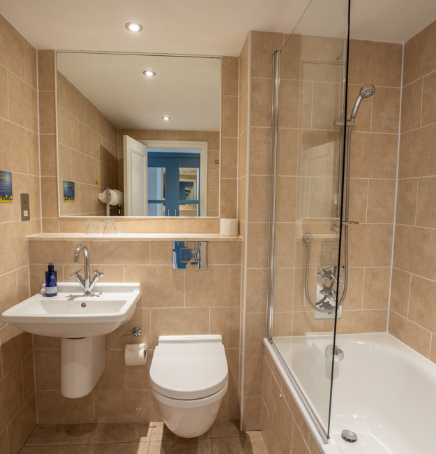 Bathroom with sink, mirror, toilet, and shower over bath.