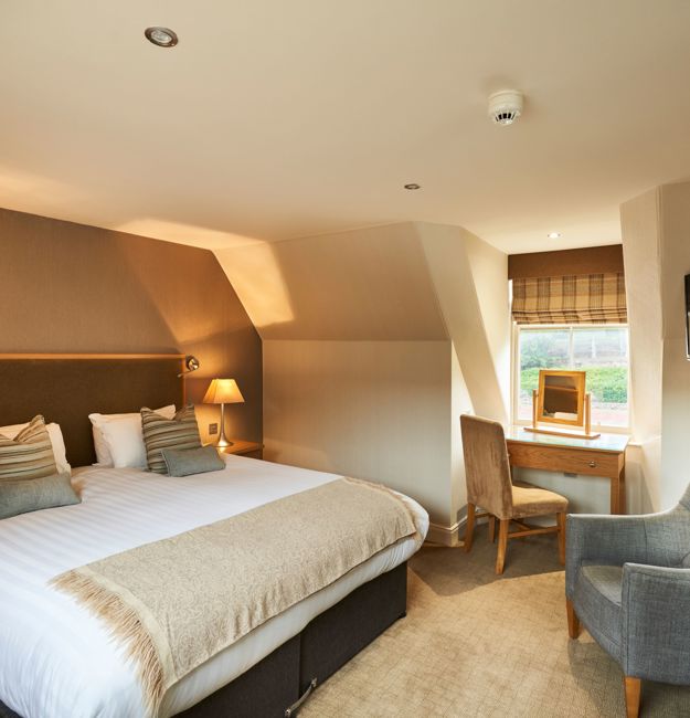 Guest double room with king-sized bed, vanity, chair, TV, and a window.