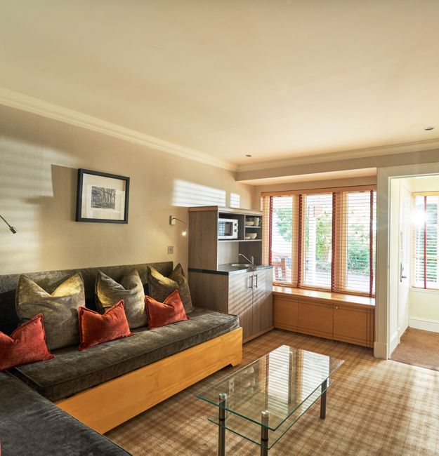 Studio apartment living area with corner sofa, coffee table, kitchen unit with microwave and sink.