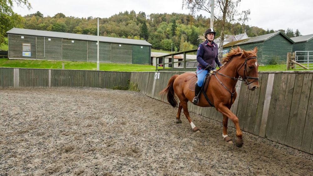 A little gallop A little gallop